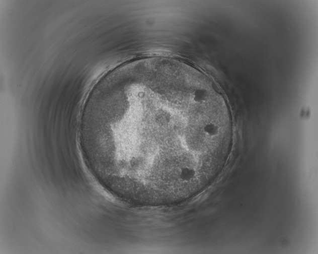 X0000111640049200908071352