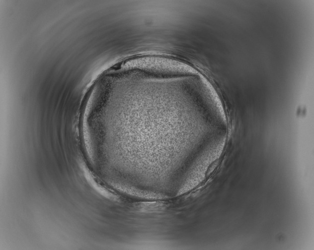 X0000111640050200908071352