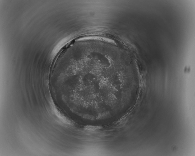 X0000111640051200908071352