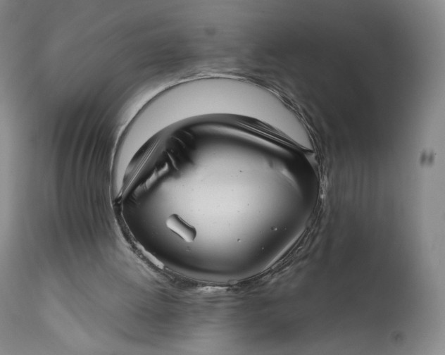 X0000111640052200908071352