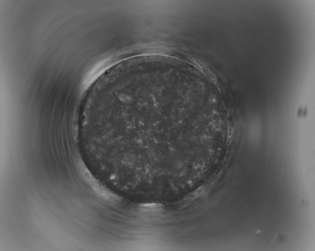X0000111640053200908071352