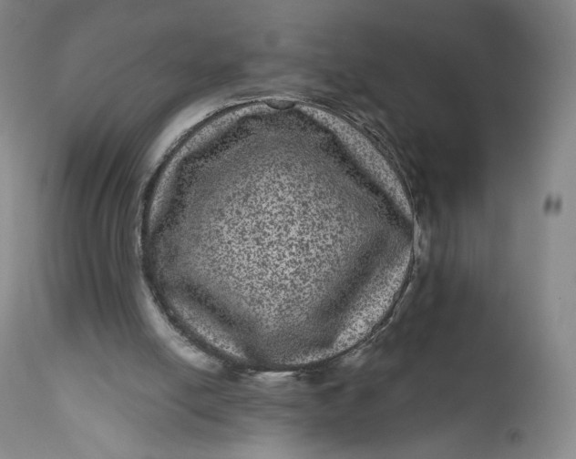 X0000111640054200908071352