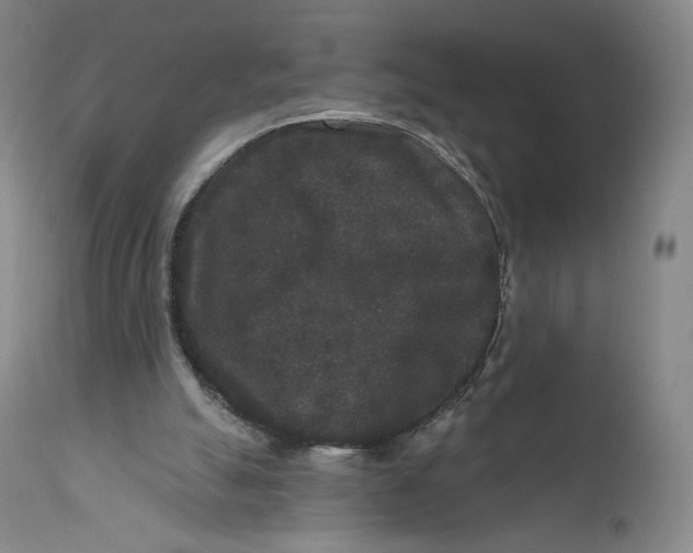 X0000111640055200908071352