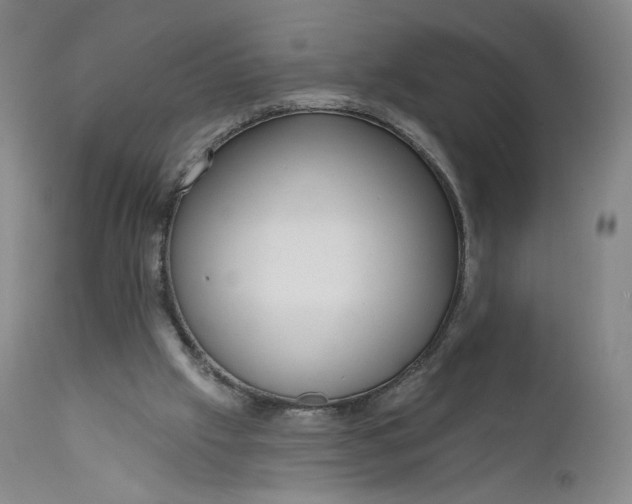 X0000111640057200908071352