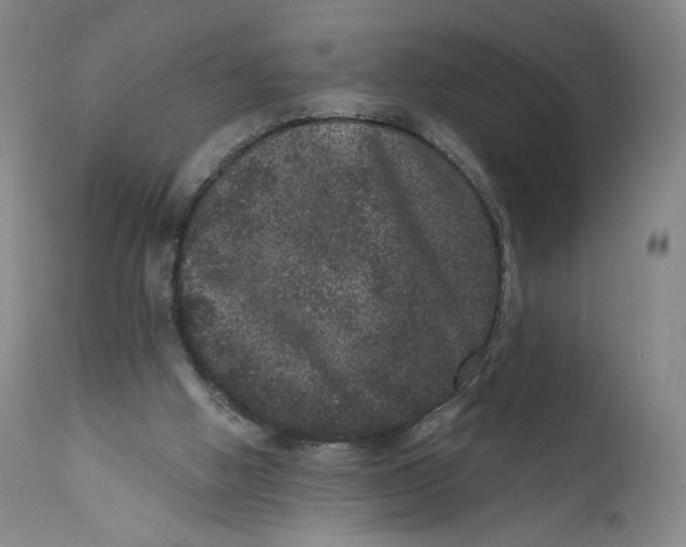 X0000111640058200908071352