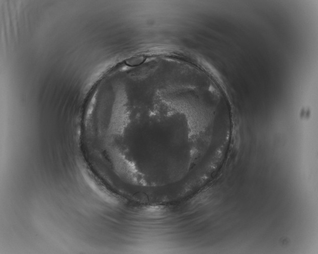 X0000111640059200908071352
