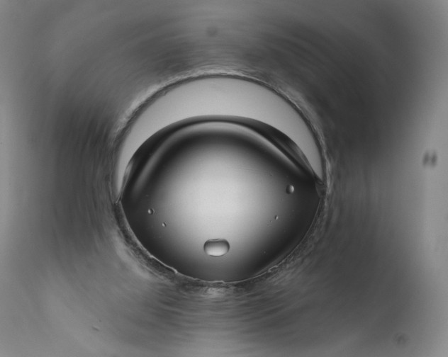 X0000111640060200908071353