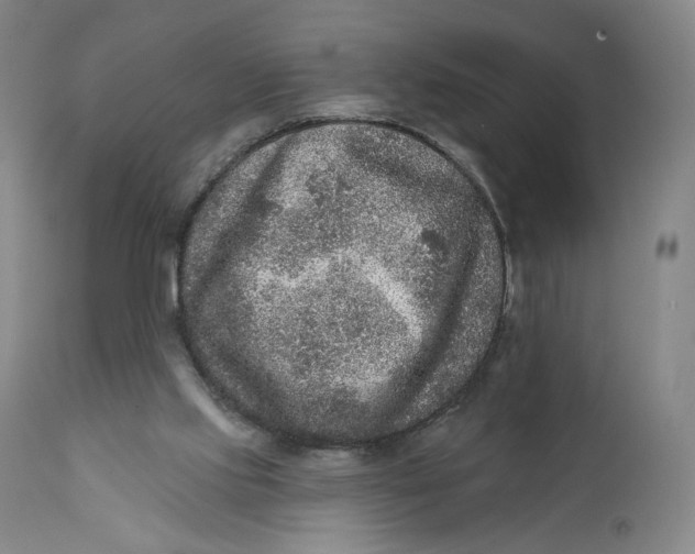 X0000111640061200908071353