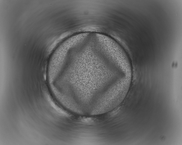 X0000111640062200908071353