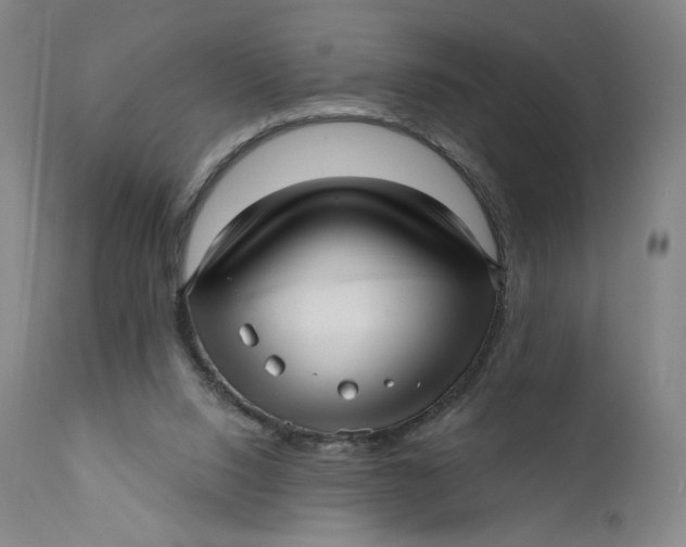 X0000111640064200908071353
