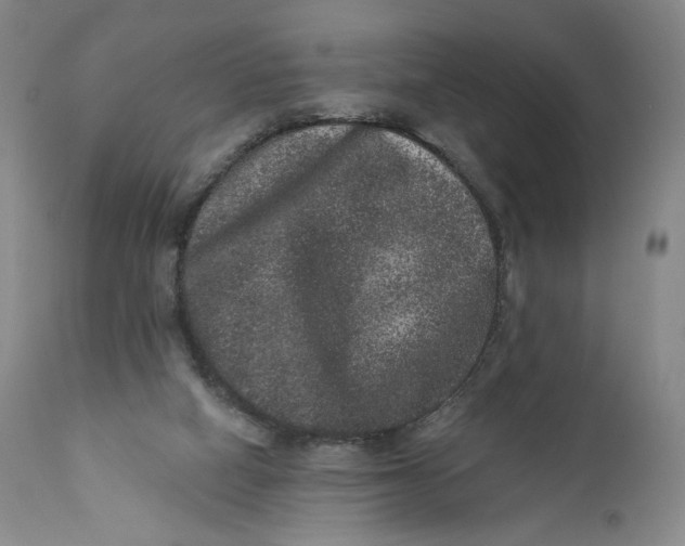 X0000111640066200908071353