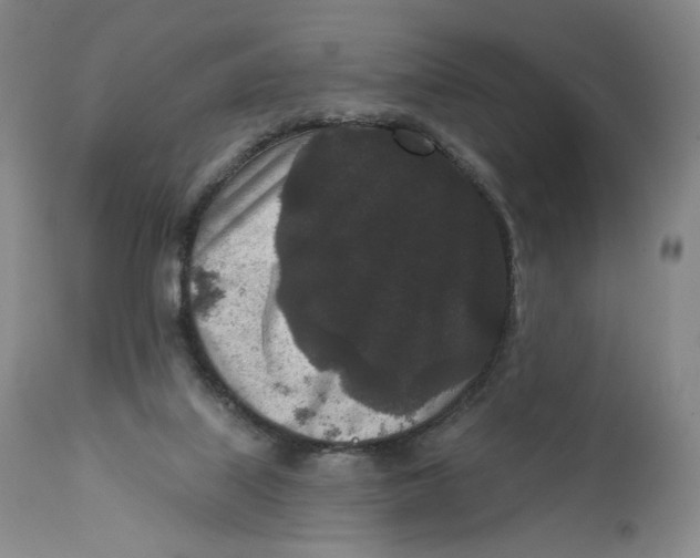 X0000111640067200908071353
