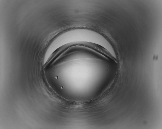 X0000111640068200908071353