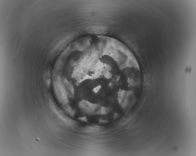 X0000111640069200908071353