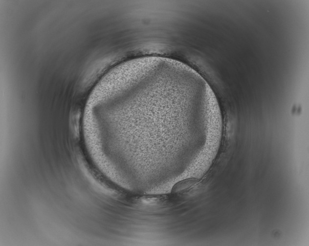 X0000111640070200908071353