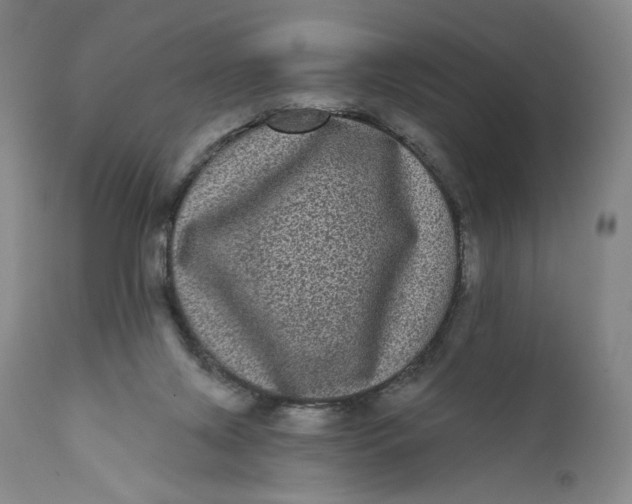 X0000111640071200908071353