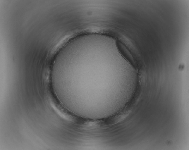 X0000111640072200908071353