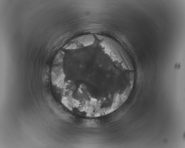 X0000111640073200908071353