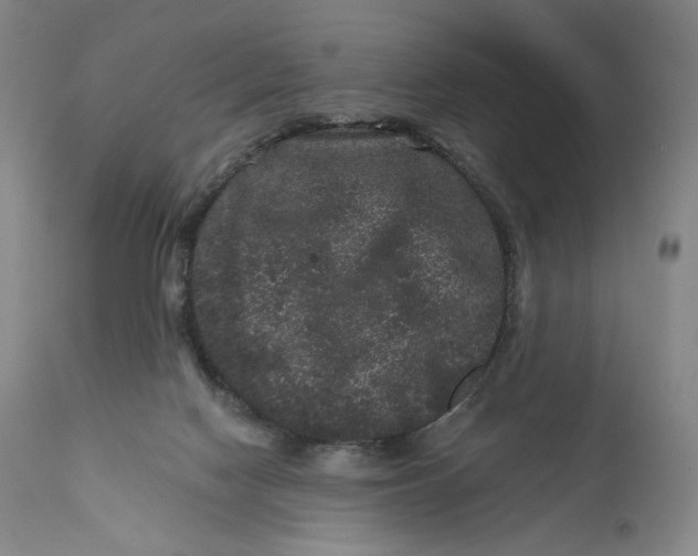 X0000111640074200908071353
