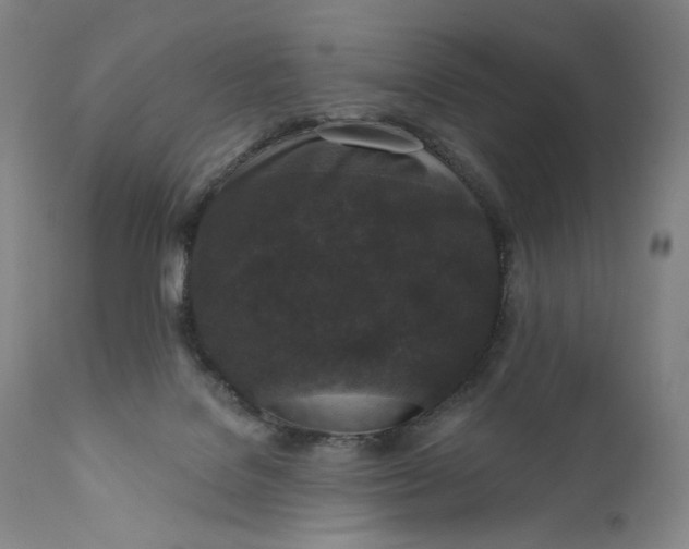 X0000111640076200908071353