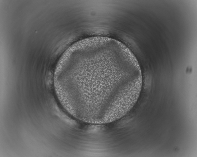X0000111640077200908071353