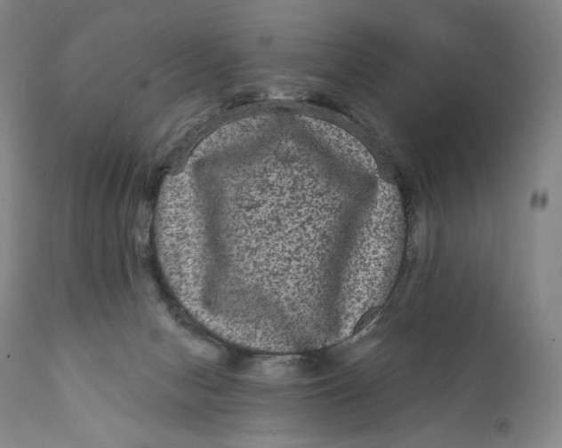 X0000111640078200908071353