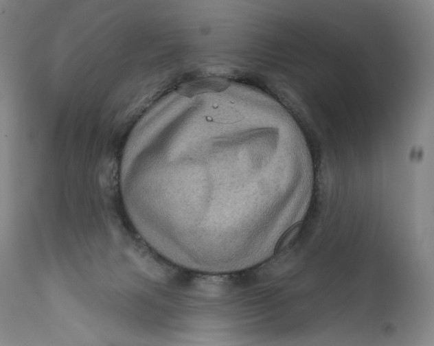X0000111640079200908071353