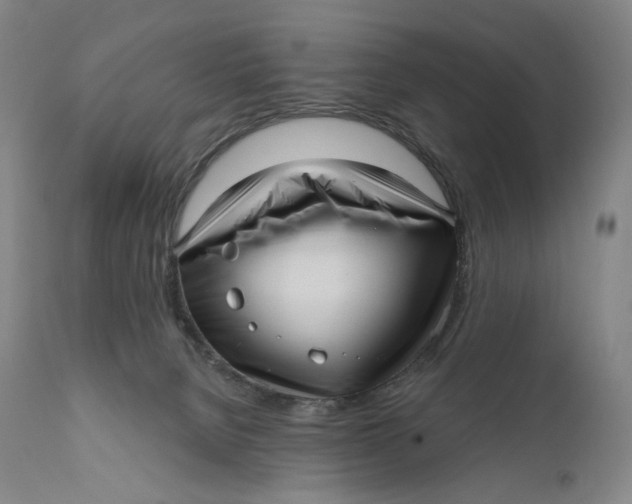 X0000111640080200908071353