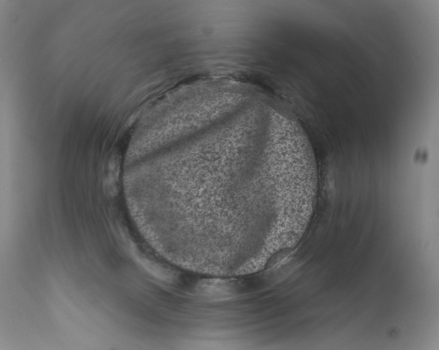 X0000111640082200908071353