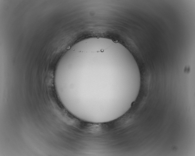 X0000111640083200908071353