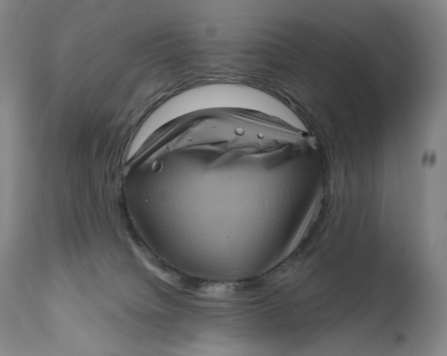 X0000111640084200908071353
