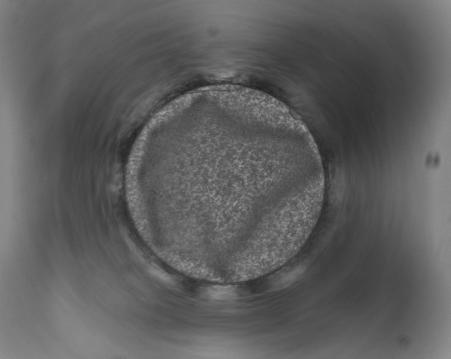 X0000111640085200908071353