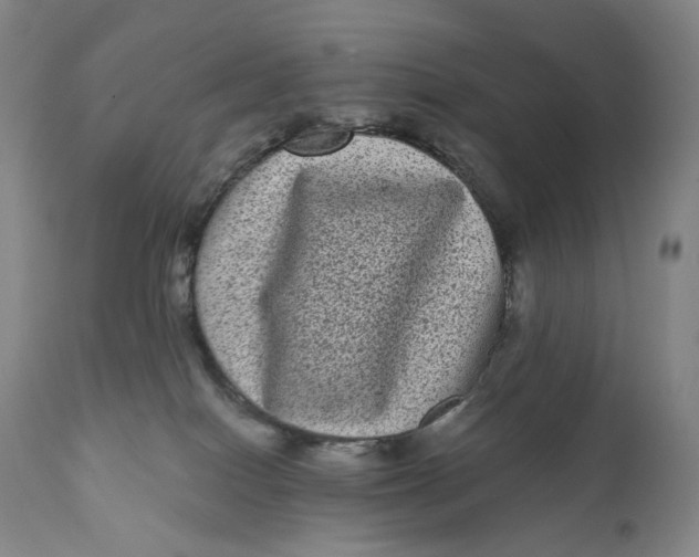 X0000111640086200908071353