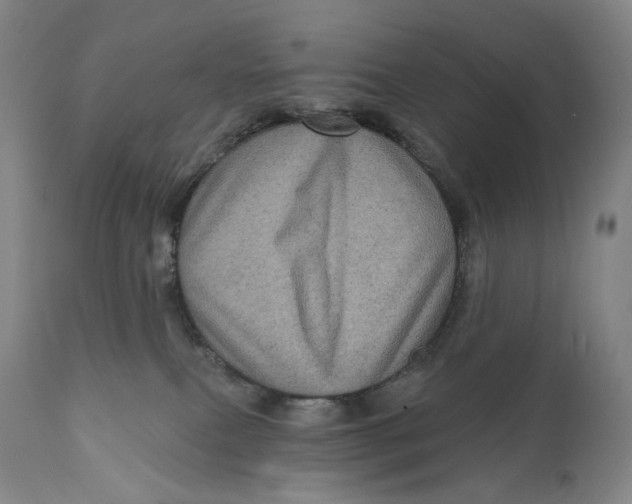 X0000111640087200908071353