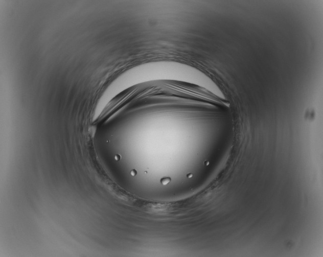 X0000111640088200908071353