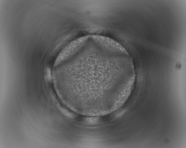 X0000111640089200908071353