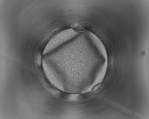 X0000111640090200908071353