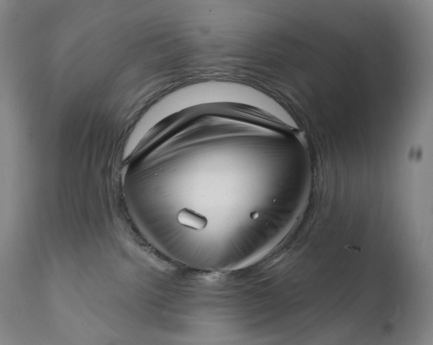 X0000111640092200908071353