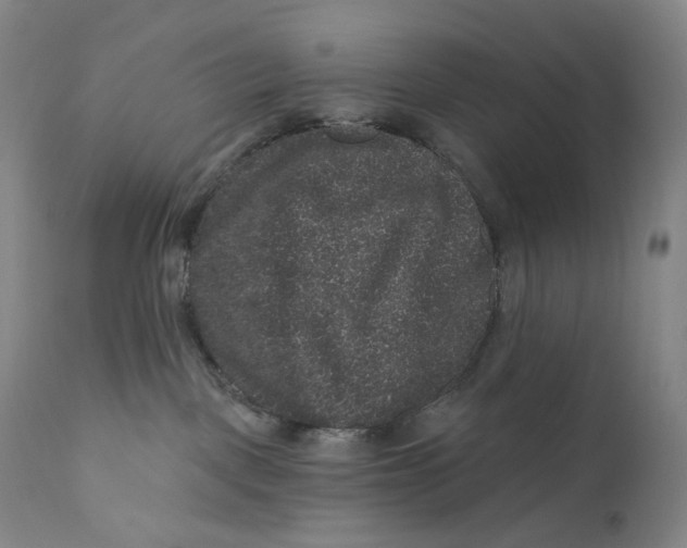 X0000111640093200908071353