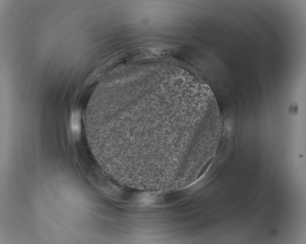 X0000111640094200908071353