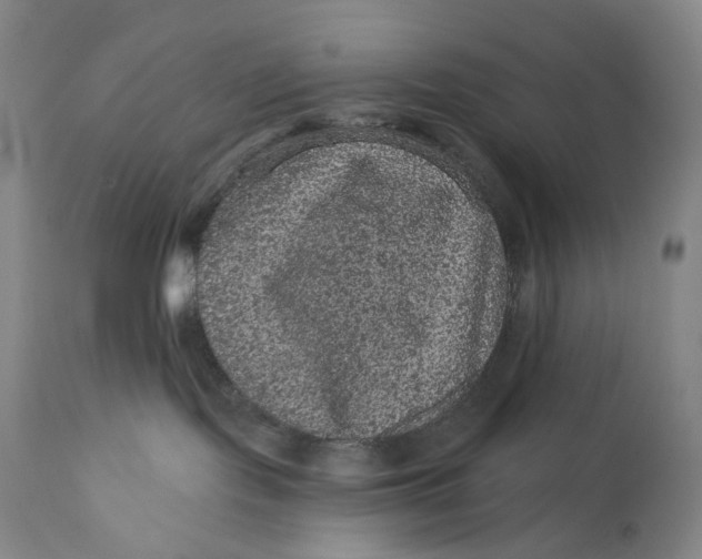 X0000111640095200908071353