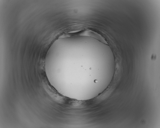 X0000111640096200908071353