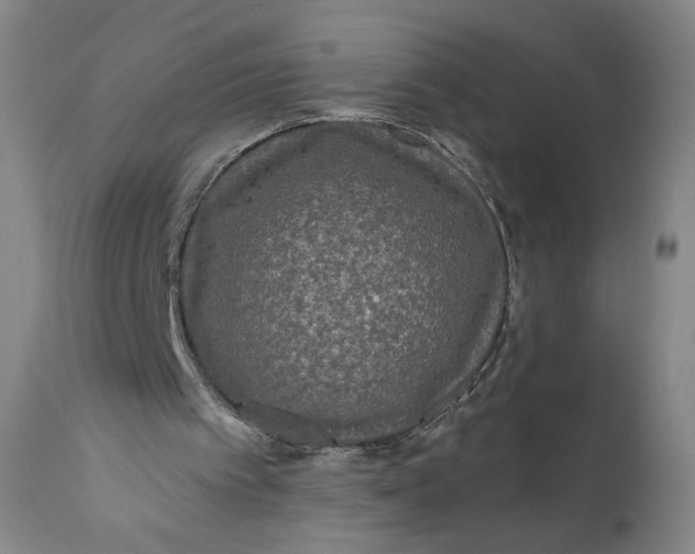 X0000111640097200908071352