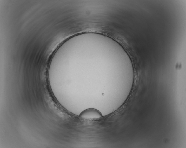 X0000111640098200908071352
