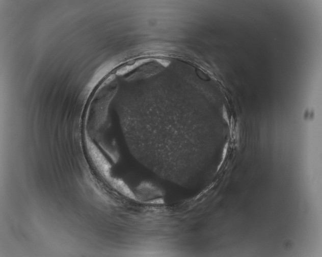 X0000111640099200908071352