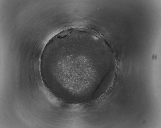 X0000111640100200908071352