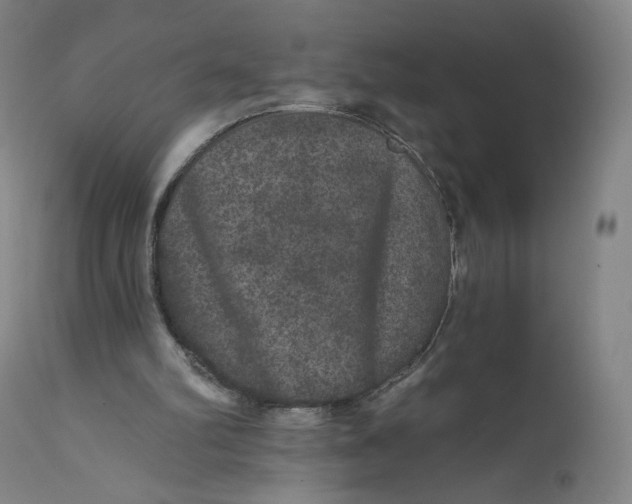 X0000111640102200908071352