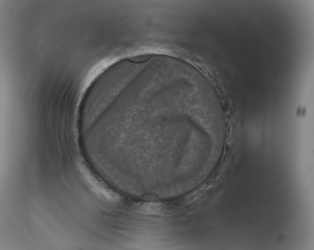 X0000111640104200908071352