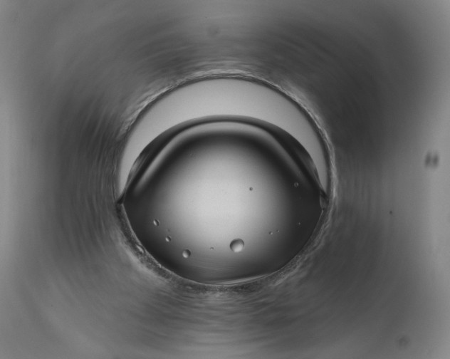 X0000111640105200908071352