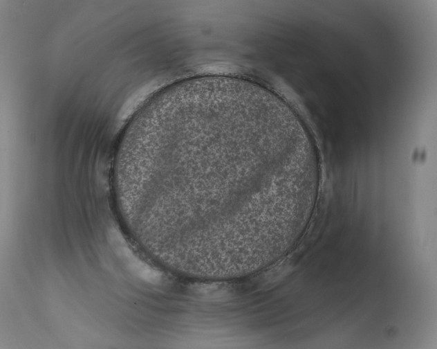 X0000111640106200908071352